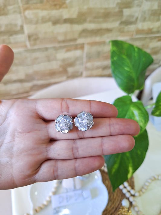 Boucles silver